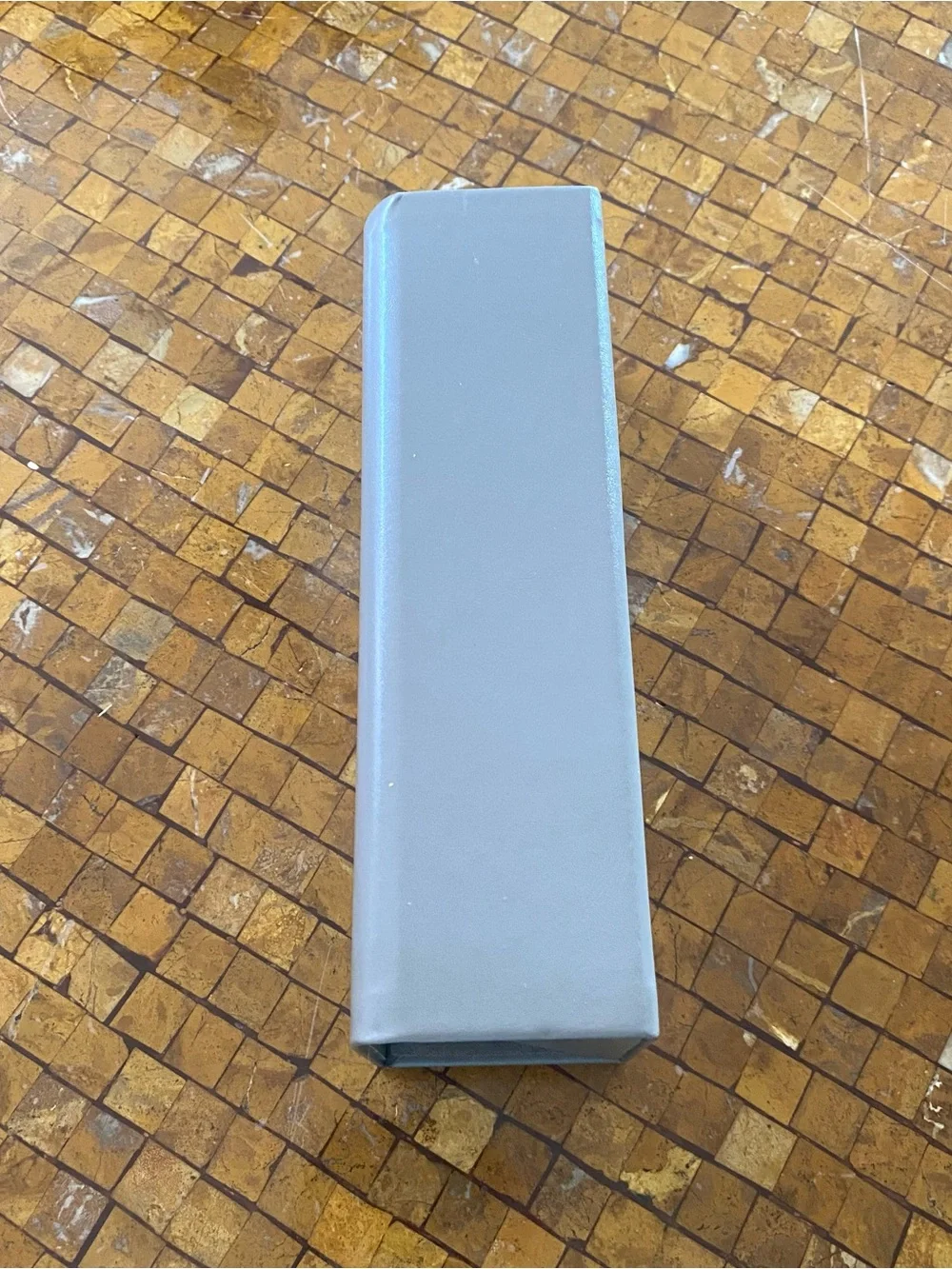 Dita gray Sunglasses case